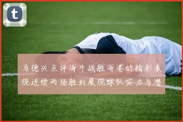 马德兴点评海牛战胜海港的精彩表现连续两场胜利展现球队实力与潜力